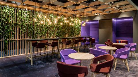 Lila, bar, pflanzen, atmospärisches licht